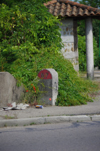IMGP0928.JPG