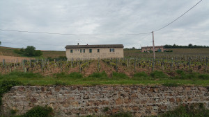 2016-05-07%2009.33.52.jpg