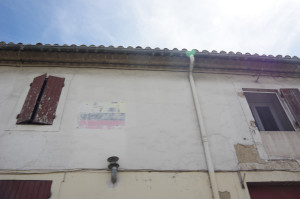 IMGP1563.JPG