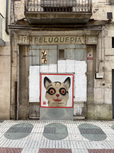 IMG_6410.JPG