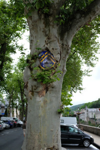 DSCF4184.JPG