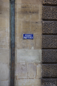 IMGP0009.JPG