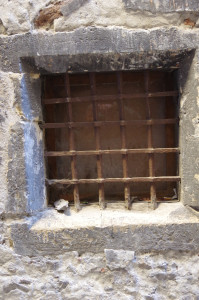 IMGP0104.JPG