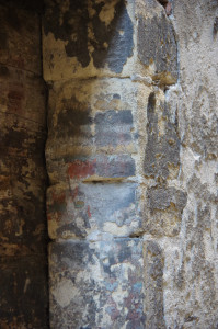 IMGP0107.JPG