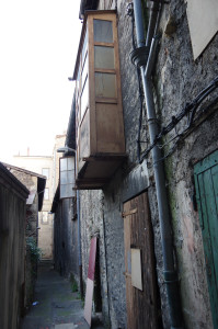 IMGP0142.JPG