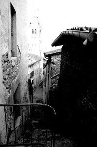 IMGP0310.JPG