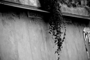 IMGP0323.JPG
