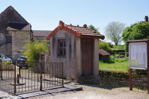 IMGP0575.JPG
