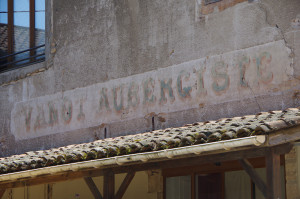 IMGP0578.JPG