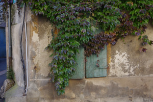 IMGP2718.JPG