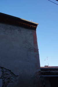 IMGP2725.JPG