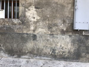 IMG_1960_heic.JPG