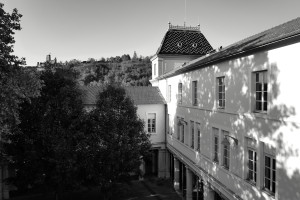 L1030270.JPG