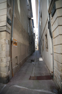 DSC01303.jpg