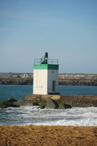 DSC01308.jpg