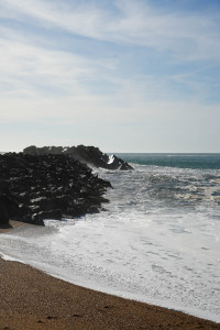 DSC01311.jpg