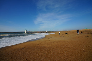 DSC01314.jpg