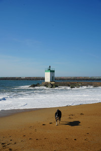 DSC01315.jpg