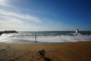 DSC01316.jpg