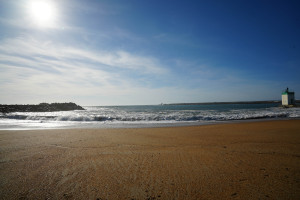 DSC01318.jpg