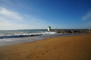 DSC01323.jpg