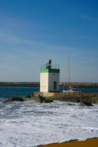 DSC01324.jpg
