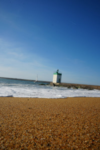 DSC01328.jpg