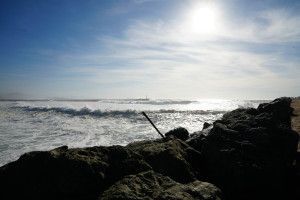 DSC01330.jpg