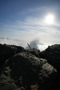 DSC01331.jpg