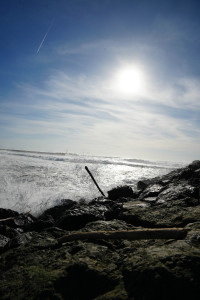 DSC01333.jpg
