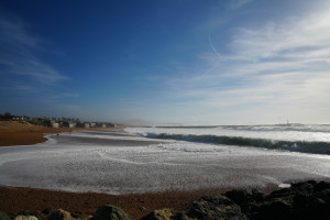 DSC01335.jpg