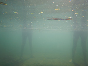 DSCN4409.JPG