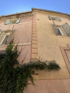IMG_7469.jpeg