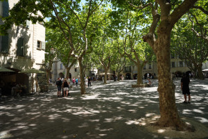 DSC01486.jpeg