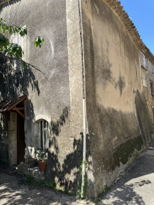 IMG_7425.jpeg