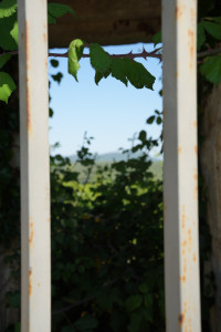 DSC01476.jpeg