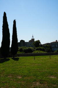 DSC01475.jpeg
