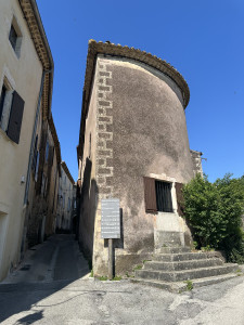 IMG_7419.jpeg