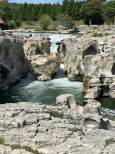 IMG_7391.jpeg