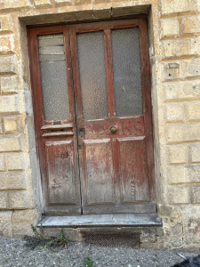 IMG_8755.jpeg