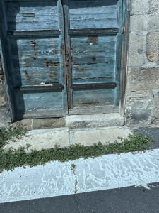 IMG_8750.jpeg