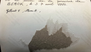 Photo3_back.jpg