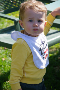 IMGP0855.JPG