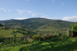 IMGP0867.JPG