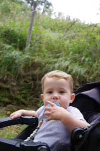 IMGP0891.JPG