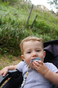IMGP0893.JPG