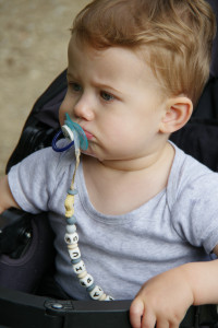 IMGP0904.JPG