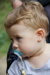 IMGP0905.JPG