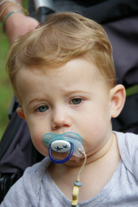 IMGP0906.JPG
