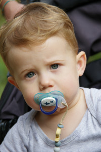 IMGP0907.JPG